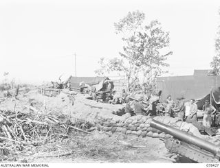 BOUGAINVILLE ISLAND. 1945-01-20. GUNNERS OF THE 2ND FIELD REGIMENT, CLEANING AND OILING THEIR 25 POUNDERS AFTER A SHOOT