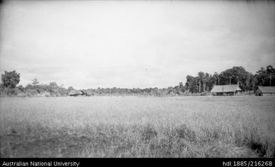 Field and buildings