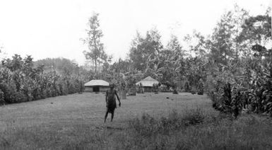 Sing sing ground, Mogei, Mount Hagen, 1934 [G. Heydon]