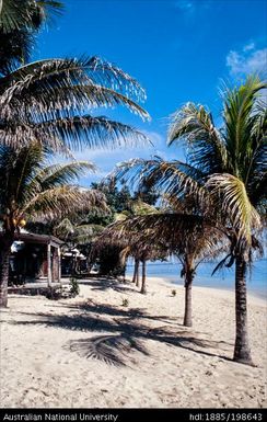 Samoa - palm trees on a beach