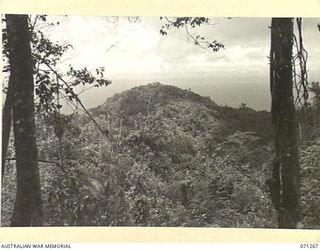 WAREO AREA, NEW GUINEA. 1944-03-18. THE 2,000 FEET FEATURE WHERE THE ENEMY MADE THE LAST STAND IN THE WAREO AREA VIEWED FROM THE 2,200 FEET FEATURE