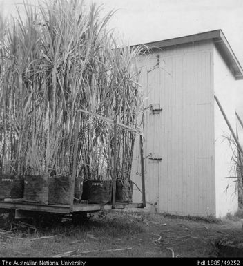Photoperiod House - photoperiod experiments