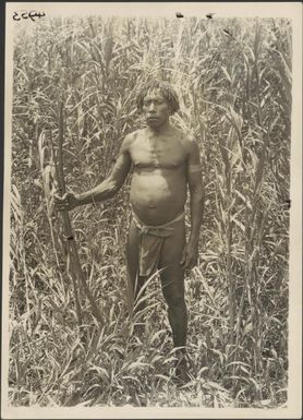 Aduru bowman, Papua New Guinea, ca. 1922, 2 / Frank Hurley