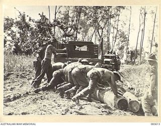 DRINIUMOR RIVER, NEW GUINEA. 1944-11-23. TROOPS OF THE 2/8 FIELD COMPANY, ROYAL AUSTRALIAN ENGINEERS, ROLLING LOGS DURING THE CONSTRUCTION OF A BRIDGE ACROSS THE RIVER. IDENTIFIED PERSONNEL ARE:- ..