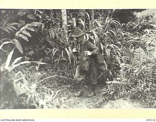 KETOBA, NEW GUINEA. 1944-01-29. A MEMBER OF THE 57/60TH INFANTRY BATTALION CARRYING "KAI" (FOOD) TO SUPPLY TROOPS ATTACKING ORGORUNA. THIS WAS THE ONLY METHOD OF MAINTAINING THE FOOD SUPPLY