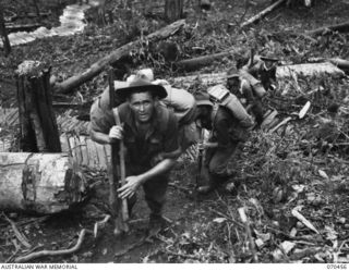 KANKIRYO SADDLE, FINISTERRE RANGE, NEW GUINEA, 1944-02-15. V43548 PRIVATE A.P. TREACY (FOREGROUND) OF "D" COMPANY, 57/60TH INFANTRY BATTALION MOVING UP KANKIRYO SADDLE WITH OTHER UNIDENTIFIED ..