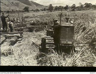Bebei, New Guinea. 1943-12-21. Engineers of the 2/6th Australian Field Company using a tractor to haul sheer logs into position during the initial stages of building a bridge over the Faria River