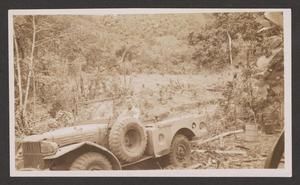 [Man and Vehicle in Forest]