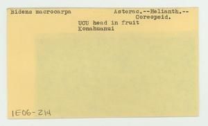 [Bidens macrocarpa in Hawaii, envelope IE06-214]