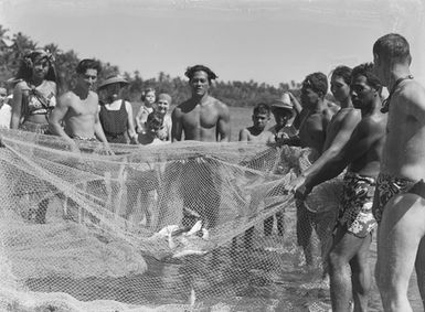[Pacific Islanders and fishing net with fish]