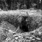 Falemauga Caves, entrance to main shaft.