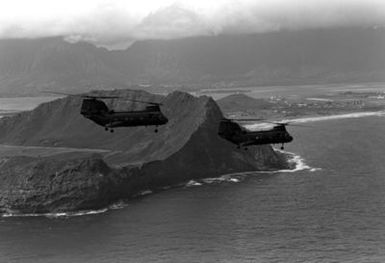 Two CH-46 Sea Knight helicopters from Marine Medium Helicopter Squadron 364 (HMM-364) fly past the air station