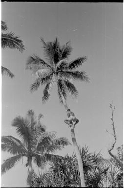 Fieldwork in Fiji