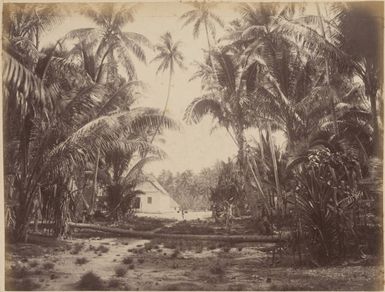 Pacific island, 1886