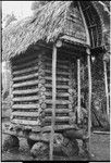 Yam house of the chief, Omarakana: filled with yams, rests on coral boulders