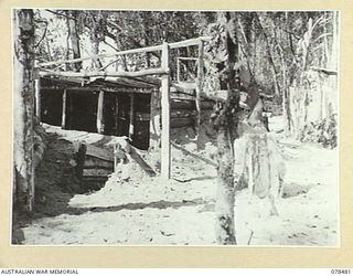 BOUGAINVILLE ISLAND. 1945-01-17. A GENERAL VIEW OF THE ADVANCED HEADQUARTERS, 19TH INFANTRY BRIGADE