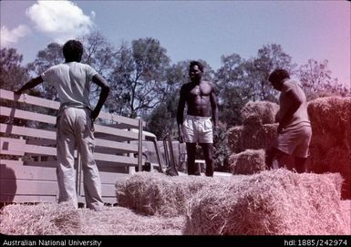 Men standing on hay bales