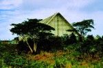 Construction of the Vanuatu Cultural Centre, Port Vila 2 of 2