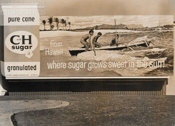 from Hawaii...where sugar grows sweet in the sun! pure can C and H sugar granulated