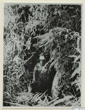 ["fotografi, photograph"]