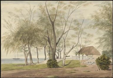 Missionary burial ground at Nukualofa, Tongatabu [James Gay Sawkins]