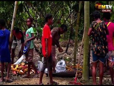 COCOA PRODUCTION
