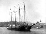 Four-masted schooner DEFIANCE loaded with lumber for departure on her maiden voyage, Hoquiam River, 1897