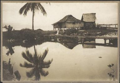 Salamaua Swamps, New Guinea, 1933 / Sarah Chinnery