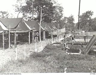 LAE BASE AREA, NEW GUINEA. 1944-12-04. PERSONNEL OF THE 2/77TH LIGHT AID DETACHMENT WORKING IN THE GARDENS AROUND THEIR TENTS. IDENTIFIED PERSONNEL ARE:- NX25395 CORPORAL R.W. CUMMINS (1); NX29222 ..