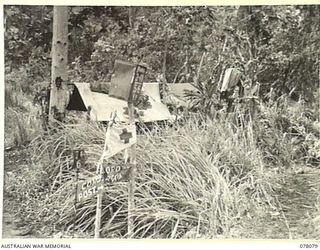 DANMAP RIVER AREA, NEW GUINEA. 1944-12-28. THE ENTRANCE TO THE BATTALION HEADQUARTERS OF THE 2/11TH INFANTRY BATTALION