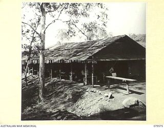 ORO BAY, NEW GUINEA. 1943-07. THE LARGE 81 BED WARD AT THE MAIN DRESSING STATION OF THE 10TH FIELD AMBULANCE. NOTE THE EXCELLENT EXAMPLES OF FOREST RED GUM (E. UMBRELLATA) IN THE FOREGROUND