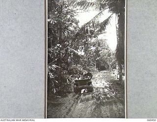 FINSCHHAFEN AREA, NEW GUINEA.  A JEEP AT HEADQUARTER, ROYAL AUSTRALIAN ARTILLERY, 9TH AUSTRALIAN DIVISION, NEGOTIATING THE MAIN ROAD BETWEEN FINSCHHAFEN AND LANGEMAK BAY. SHOWN ARE: QX16979 GUNNER ..