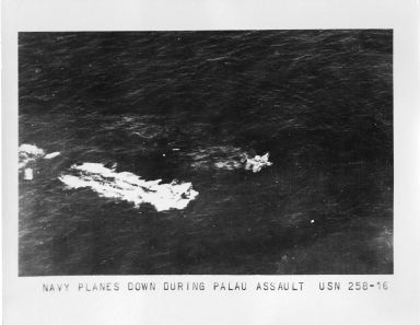 Downed U.S. Navy aircrafts