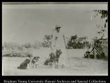 Laie Plantation Workers