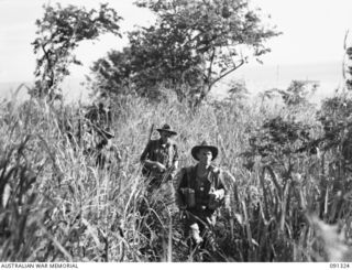 KARAWOP, AITAPE-WEWAK SECTOR, NEW GUINEA. 1945-04-29. A PATROL FROM A COMPANY, 2/1 INFANTRY BATTALION AND 2/2 FIELD REGIMENT MOVING THROUGH KUNAI GRASS AND JUNGLE. IDENTIFIED PERSONNEL ARE:- ..