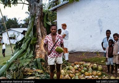 Magam, coconuts