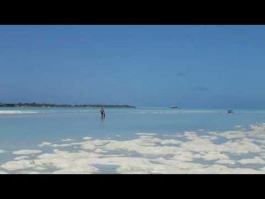 Coastal Views of Tarawa Atoll, Kiribati