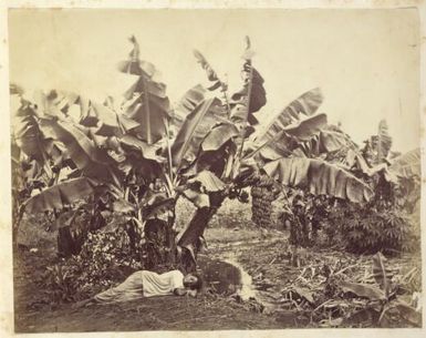 Kanak woman asleep under a banana tree, New Caledonia, 1878 / Allan Hughan