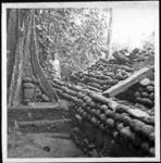 Trench behind ahu of coastal marae site 129 looking from E-W corner stone at lower right. McClain in background