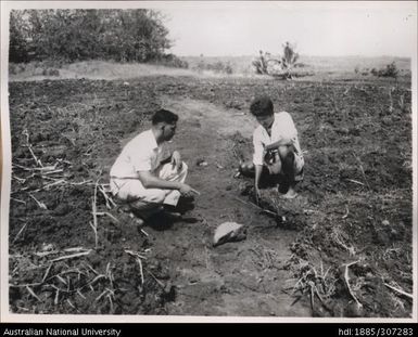 Field Officers inspecting soil