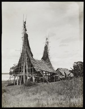 Arapesh building under construction, Papua New Guinea