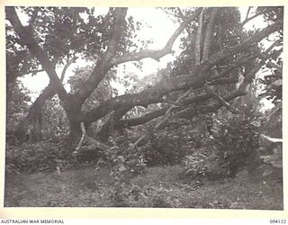 BUNA, NEW GUINEA, 1945-07-03 TO 1945-07-04. THE SITE OF THE MOBILE SURGICAL UNIT AND 10 FIELD AMBULANCE OFF ENDAIADERE BEACH