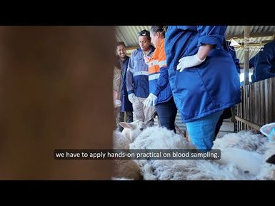 Paravet Training Programme (Fiji)