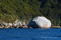 Marble Rock Formations, Abel Tasman National Park, Tasman Bay, NZ