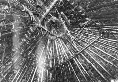 roof, building, roof, roof structure, photograph, ph