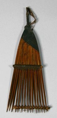 Head Comb