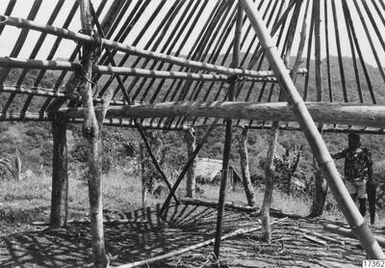 building, building, photography,