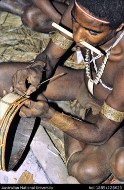 Outlining designs painted on a bark belt in preparation for a dance, using a quill, chewed at one end, as a brush