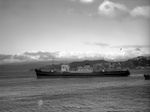 Hazelmoor (Ship) in Wellington Harbour