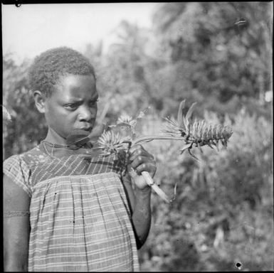Girl holding a spiky flower, Awar, New Guinea, 1935 / Sarah Chinnery